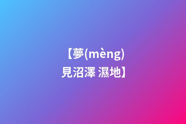 【夢(mèng)見沼澤 濕地】